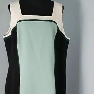 NWT- White House Black Market Sleeveless Colorblock Sheath Dress Size 12 Lined
